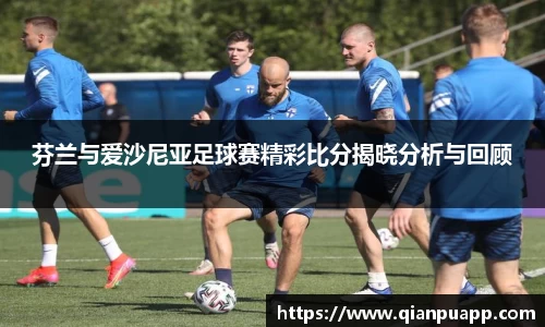 芬兰与爱沙尼亚足球赛精彩比分揭晓分析与回顾